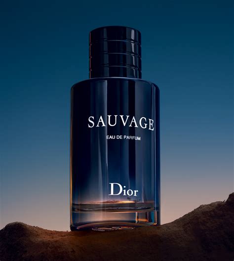 christian dior men parfum|christian dior men's parfum sauvage.